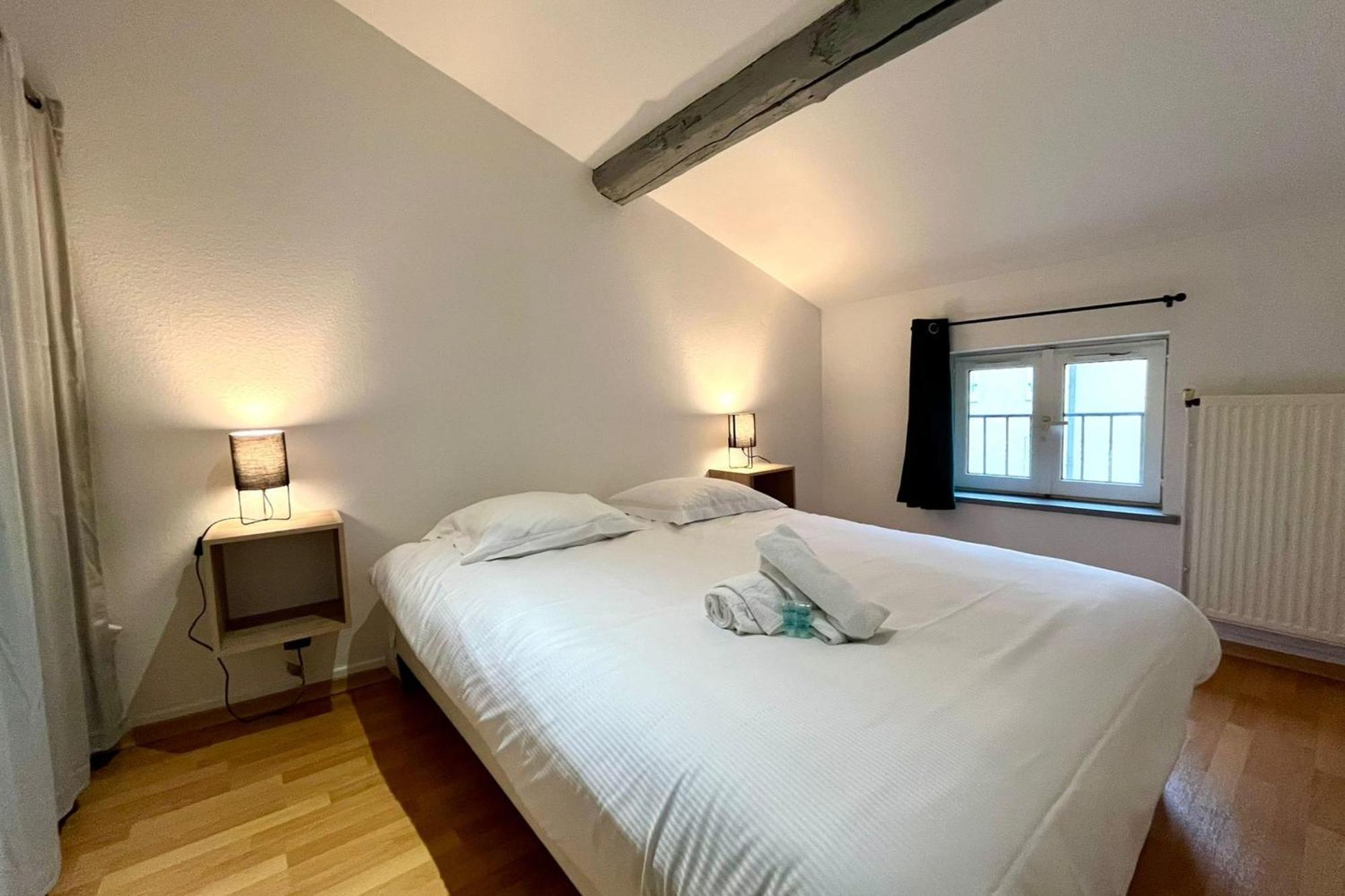 Appartamento Le Duplex Des Dames Nancy Esterno foto